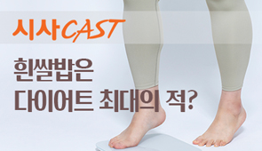 흰쌀밥은 다이어트 최대의 적?