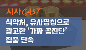 [이슈포커스] 식약처, 유사명칭으로 광고한 ‘가짜 공진단’ 집중 단속