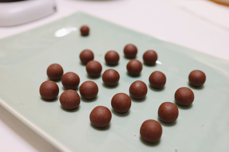 정품 사향으로 직접 빚는 공진단, 참관 이야기